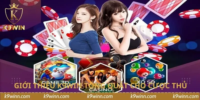 Giới thiệu K9WIN tổng quát cho cược thủ